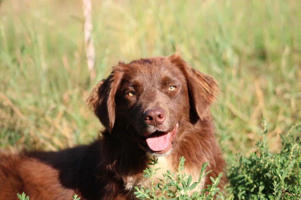 Vahina Des Chrysalides Arc En Ciel